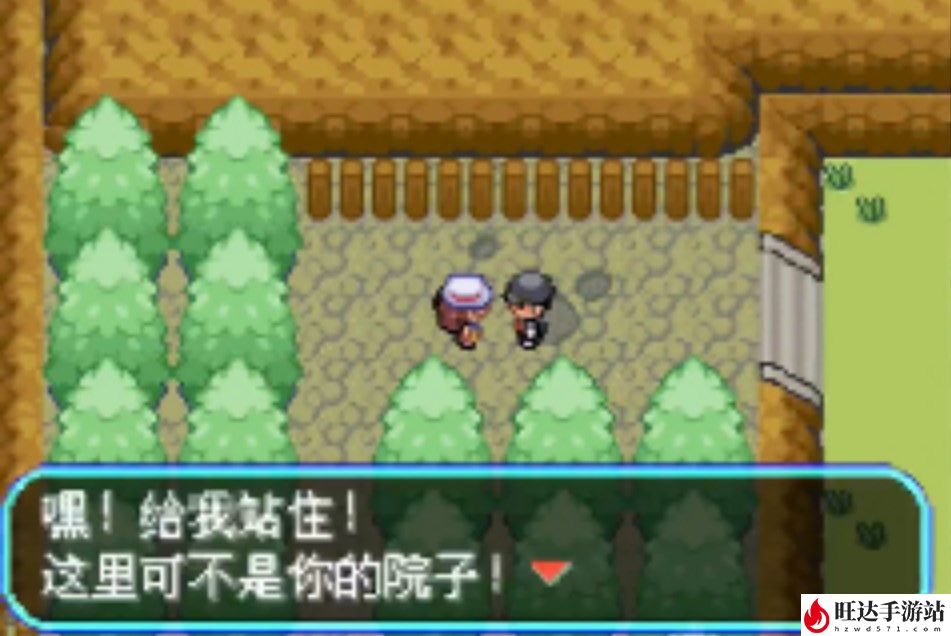 口袋妖怪口袋暴龙5.0