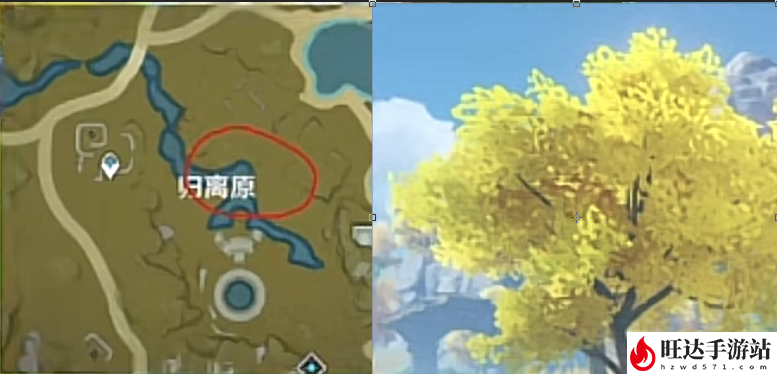 原神孔雀木御伽木最佳速刷点位_木材获取技巧及路线
